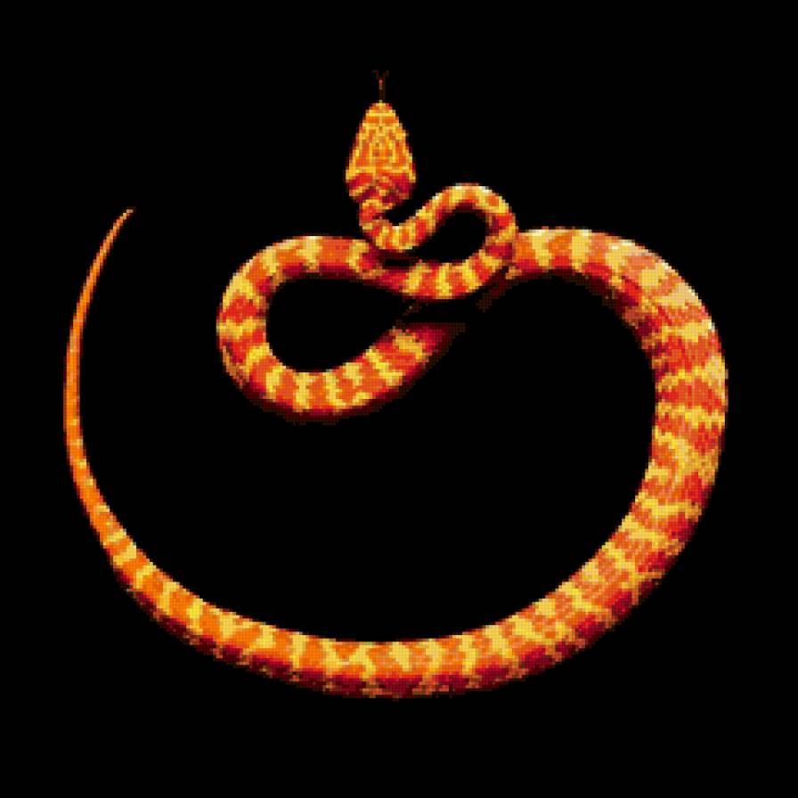 Змейка - змея - предпросмотр