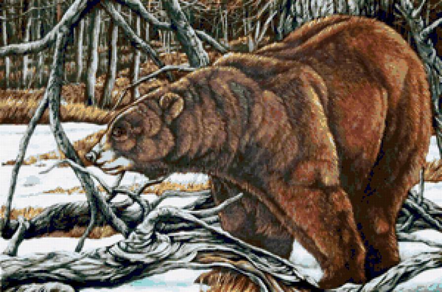 Медведь - искусство, животные, медведь, природа, медведи, живопись, лес - предпросмотр
