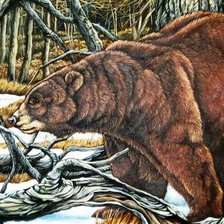 Оригинал схемы вышивки «Медведь» (№148327)