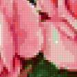 Предпросмотр схемы вышивки «букет цветов» (№148621)