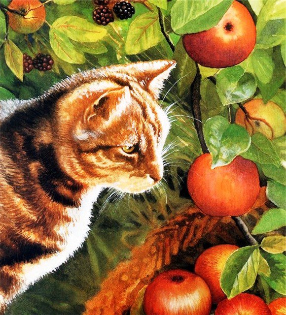 Кот в яблоках - кошка, фрукты, яблоки, кот, животные - оригинал