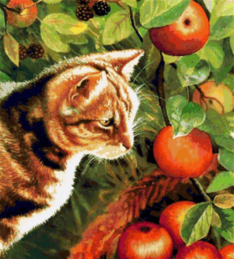 Кот в яблоках - животные, кошка, фрукты, кот, яблоки - предпросмотр