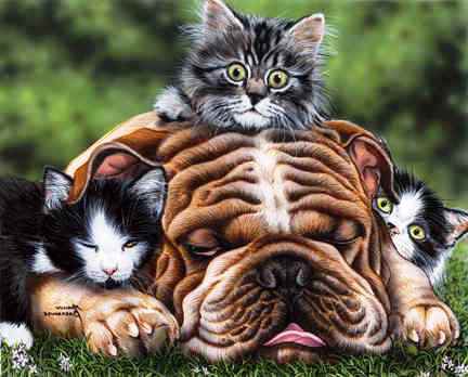 Вздремнул... - пес, собака, кот, животные, кошка - оригинал