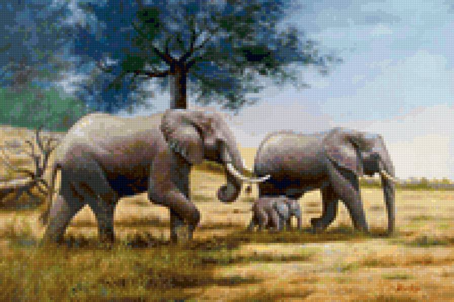 Слоны - слоны, африка, природа, животные - предпросмотр