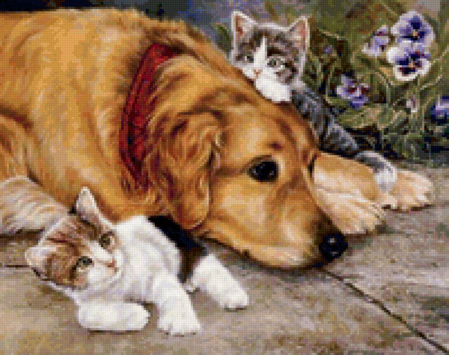 Пес с котятами - котята, животные, собака - предпросмотр