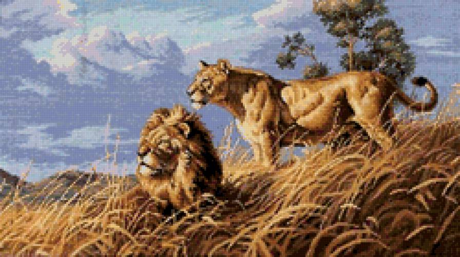 львы - животные - предпросмотр
