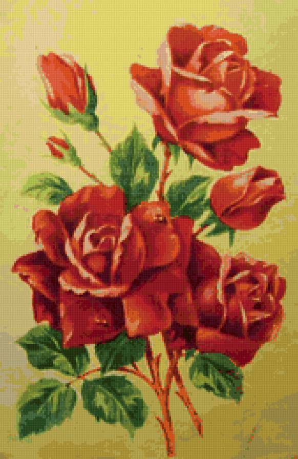красные розы - розы - предпросмотр