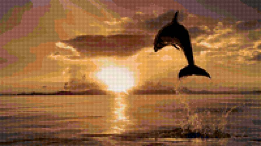 дельфин - морская тема - предпросмотр