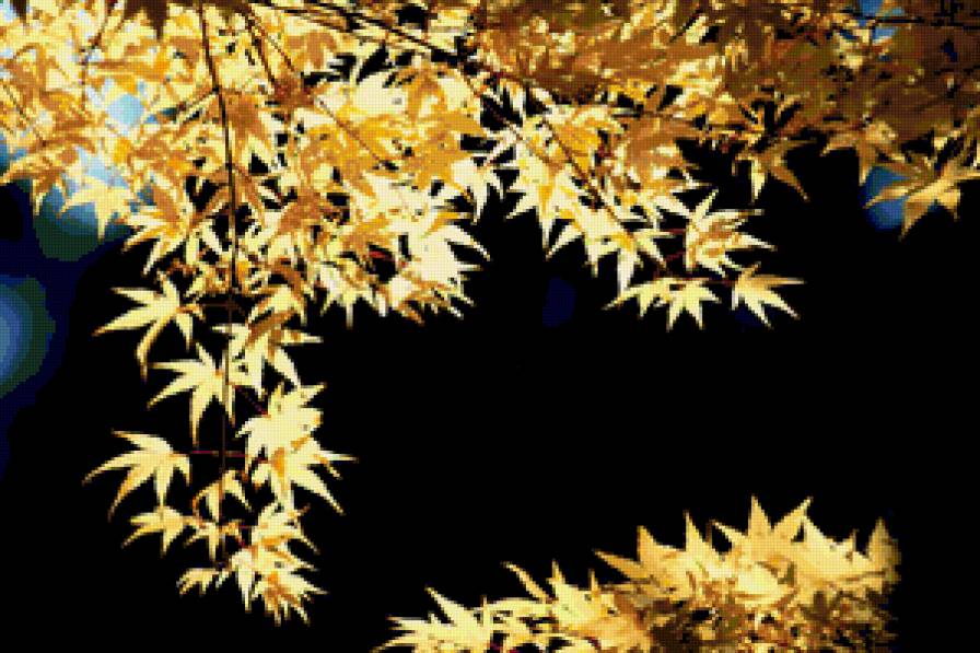 красота листвы - листья, осень - предпросмотр