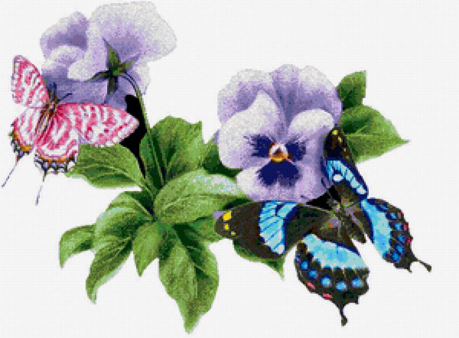 бабочки и анютины глазки - цветы, анютины глазки, букет, бабочки - предпросмотр