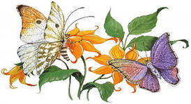 бабочки - цветы, бабочки - оригинал