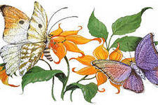 Оригинал схемы вышивки «бабочки» (№150391)
