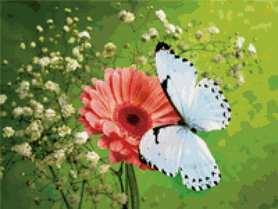 Бабочка на цветочке - бабочка, цветок - предпросмотр