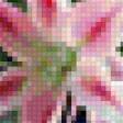 Предпросмотр схемы вышивки «Лилии» (№151002)