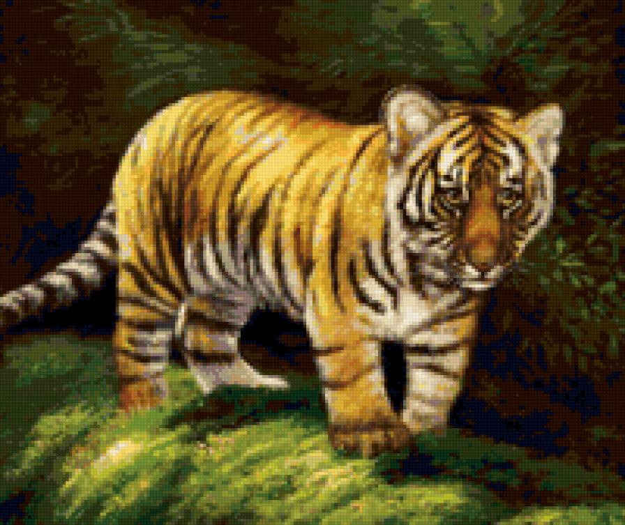 tiger - предпросмотр