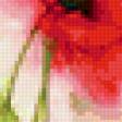 Предпросмотр схемы вышивки «flowers» (№151912)