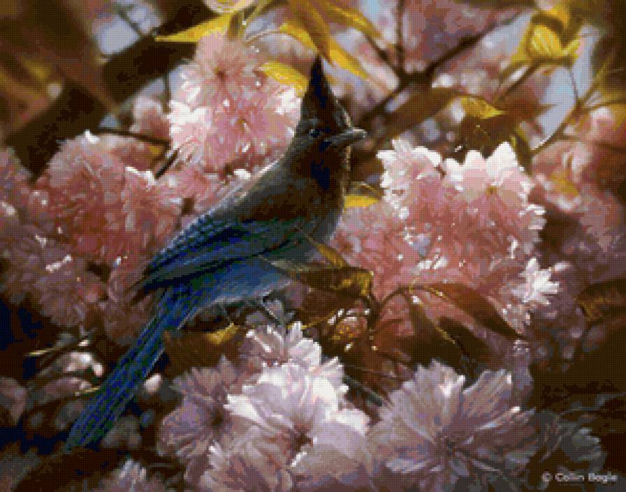 Птица - птица, цветы, весна - предпросмотр