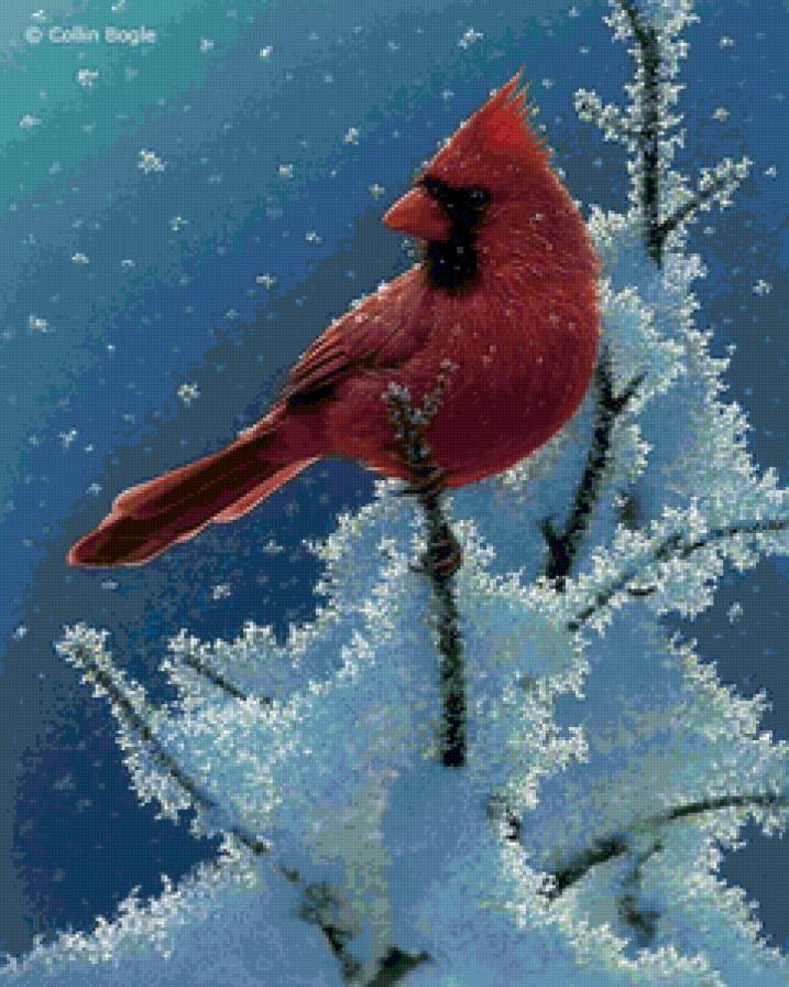 Птица зимой - лес, зима, птица, дикая природа - предпросмотр