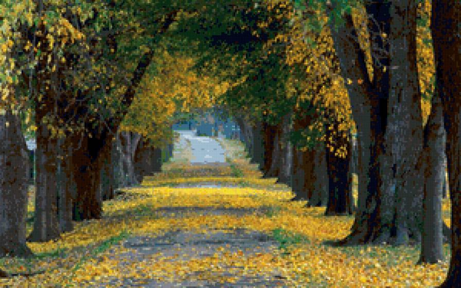 Осенняя аллея - аллея, осень, парк, листья, деревья, пейзаж, природа - предпросмотр