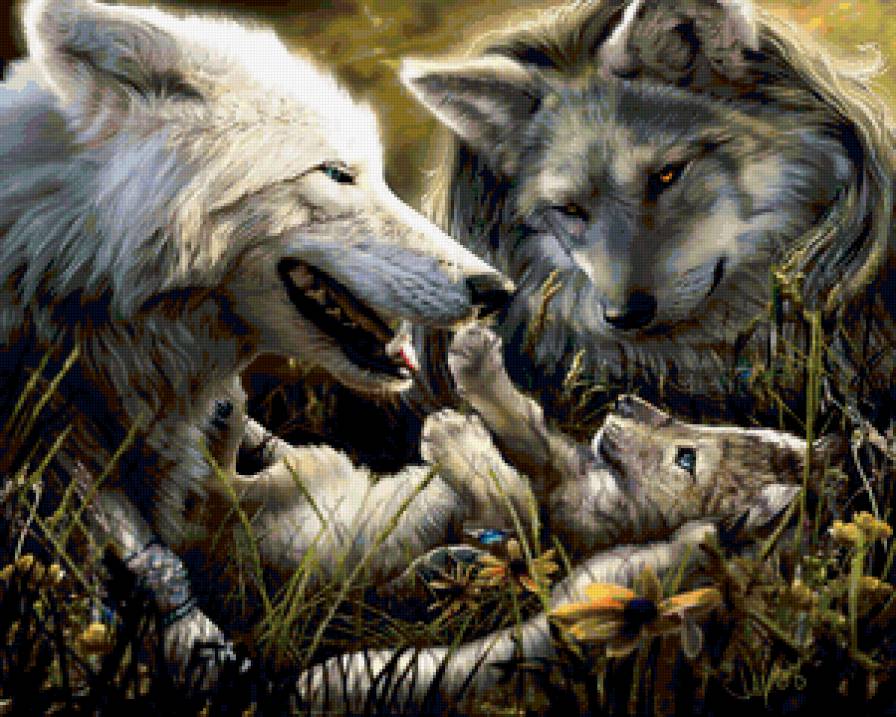 Волчье семейство - природа, волк, хищник, животные, красота - предпросмотр