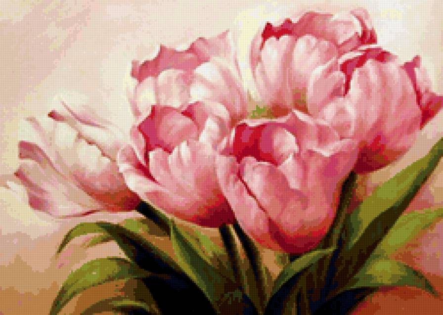 Розовые тюльпаны - предпросмотр