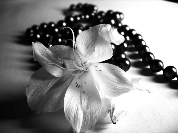 Серия "Черно-Белое" Цветок и бусы - черно-белая картинка, цветок, бусы - оригинал