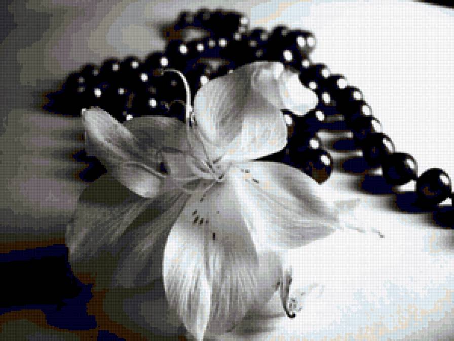 Серия "Черно-Белое" Цветок и бусы - бусы, черно-белая картинка, цветок - предпросмотр