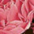 Предпросмотр схемы вышивки «Розы в чашечке» (№152748)