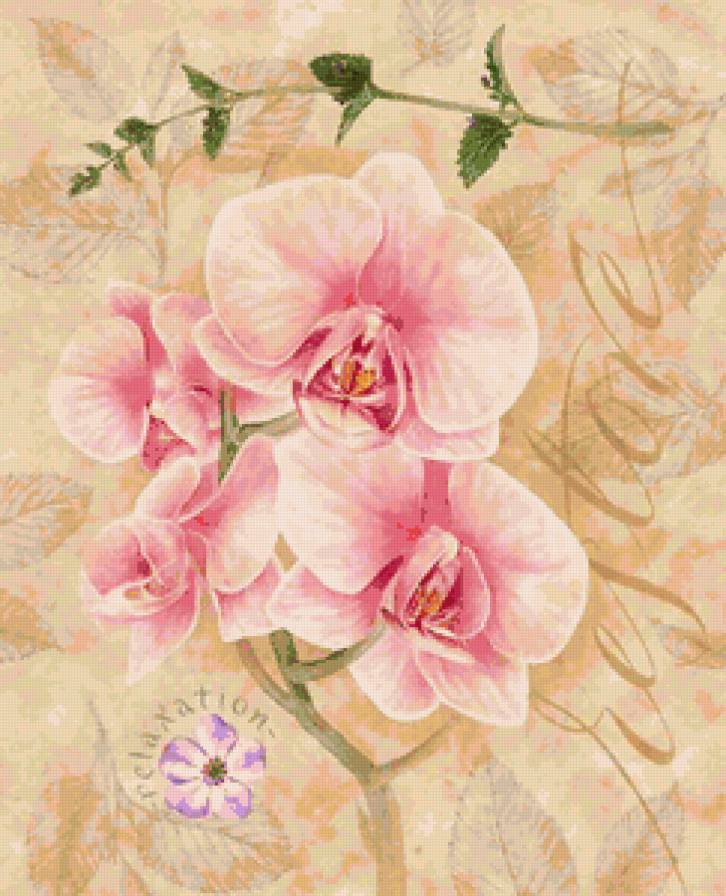орхидеи - акварель, цветы, орхидеи, живопись, панно, нежные лепестки - предпросмотр
