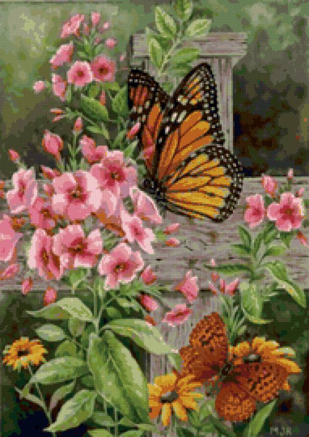 бабочки на цветах - цветы, бабочки - предпросмотр