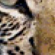 Предпросмотр схемы вышивки «котенок леопарда» (№153427)