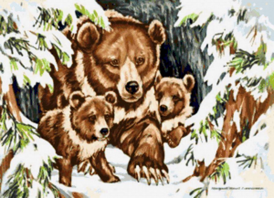 медведи в берлоге - медведи, природа, bears, рядом с мамочкой, медвежата, мишка, снег - предпросмотр
