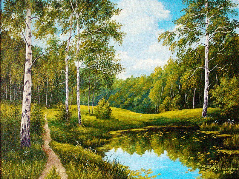 Берёзки - деревьяр, березки, река, природа, живопись, пейзаж, озеро, лес - оригинал