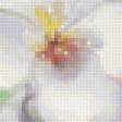 Предпросмотр схемы вышивки «Акварельные цветы» (№154489)