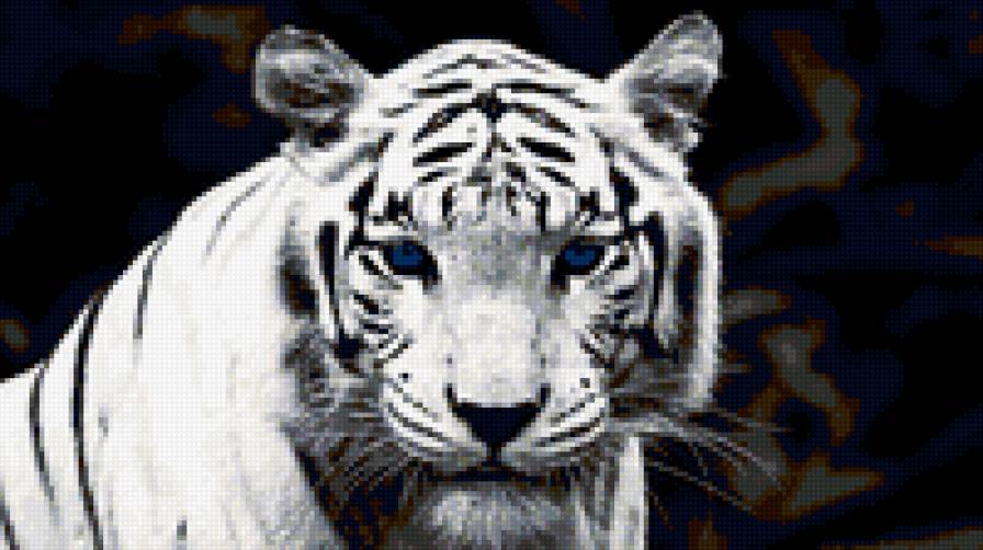 белый тигр - животные, тигр - предпросмотр