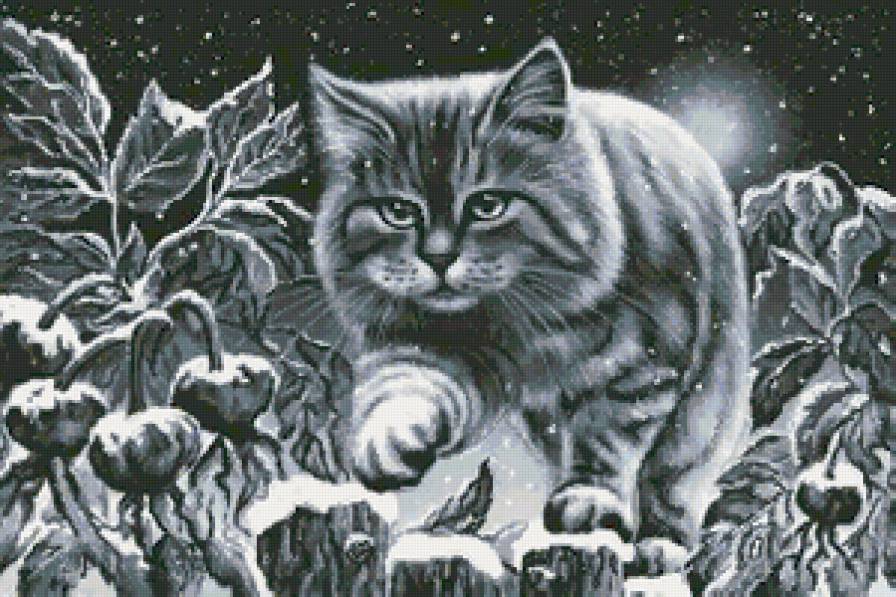 снежный кот - кот - предпросмотр
