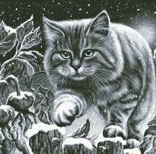 Оригинал схемы вышивки «снежный кот» (№155523)