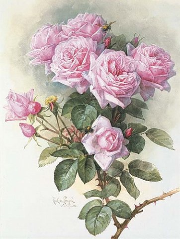 №155773 - пчела, розы, цветы - оригинал