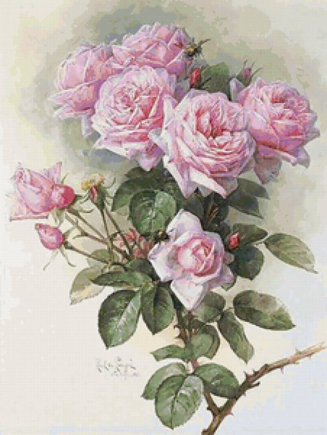№155773 - цветы, розы, пчела - предпросмотр