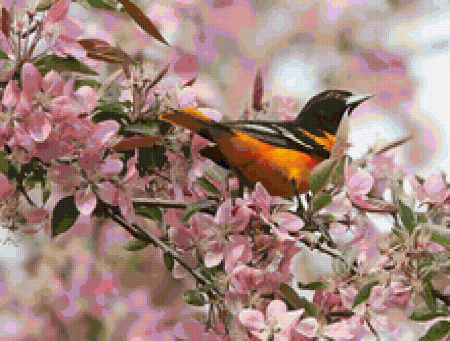 Птичка в цветах - природа, птица, цветы - предпросмотр