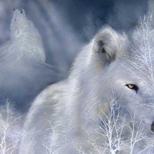 Оригинал схемы вышивки «Белая волчица» (№156510)