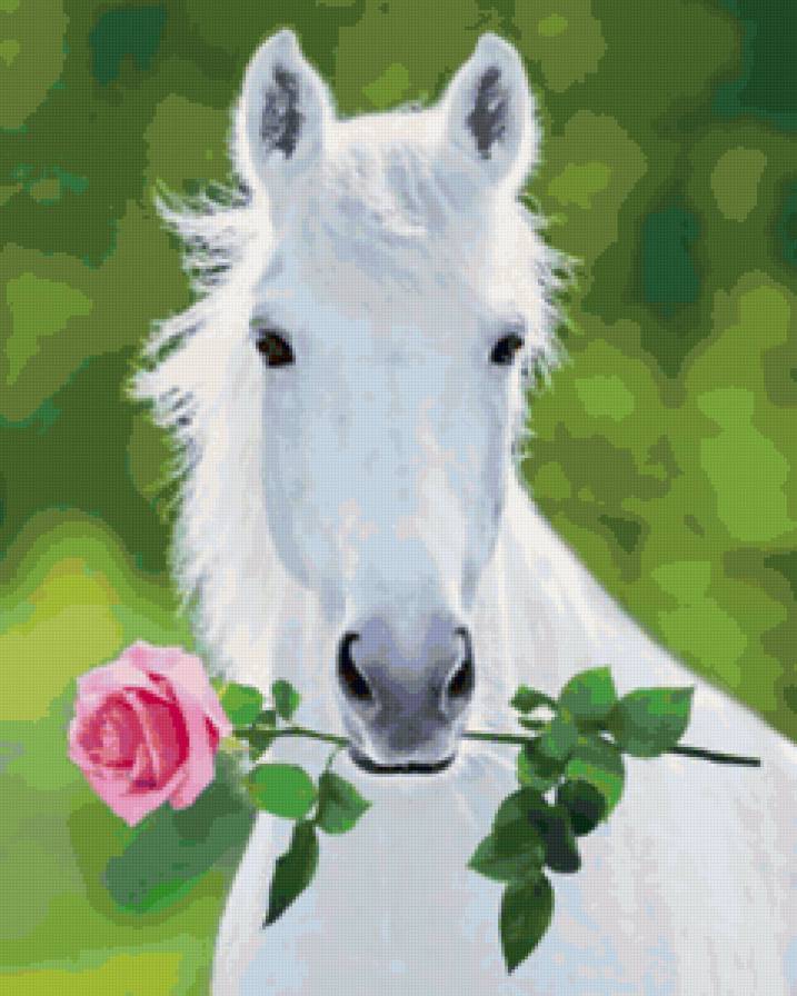 Романтика - конь, роза, романтика, животное, красота, лошадь - предпросмотр