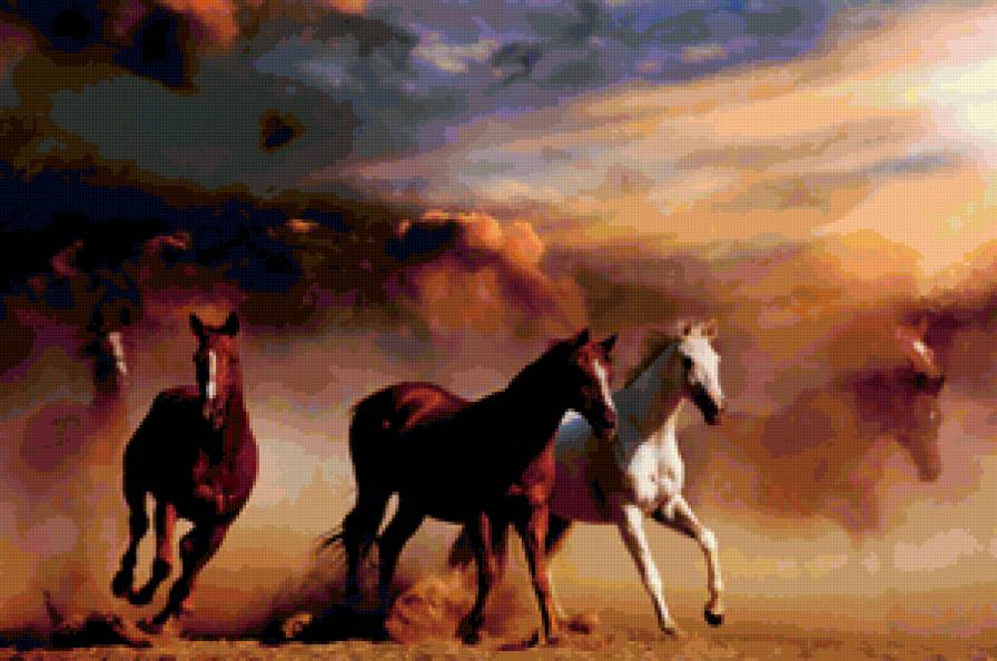 Бегущие лошади - лошади, животное, лошадь, природа - предпросмотр