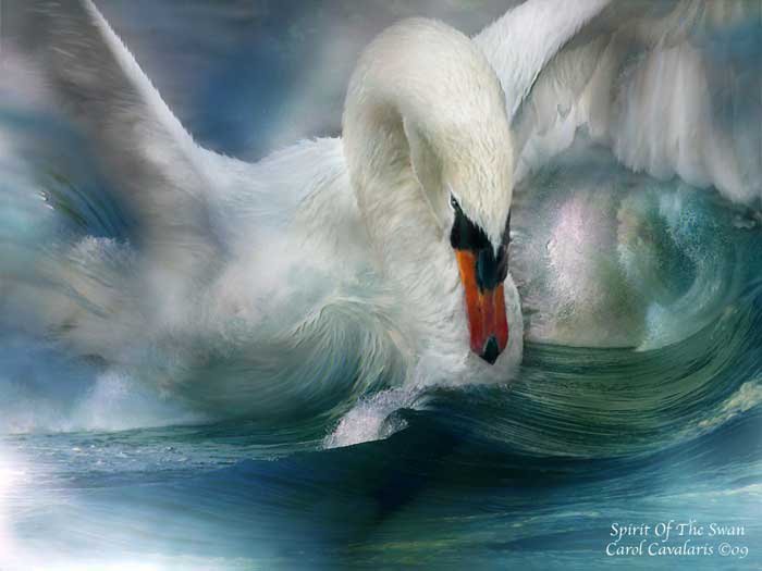 spirit of the swan - оригинал