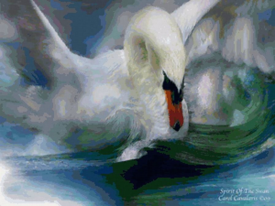spirit of the swan - предпросмотр