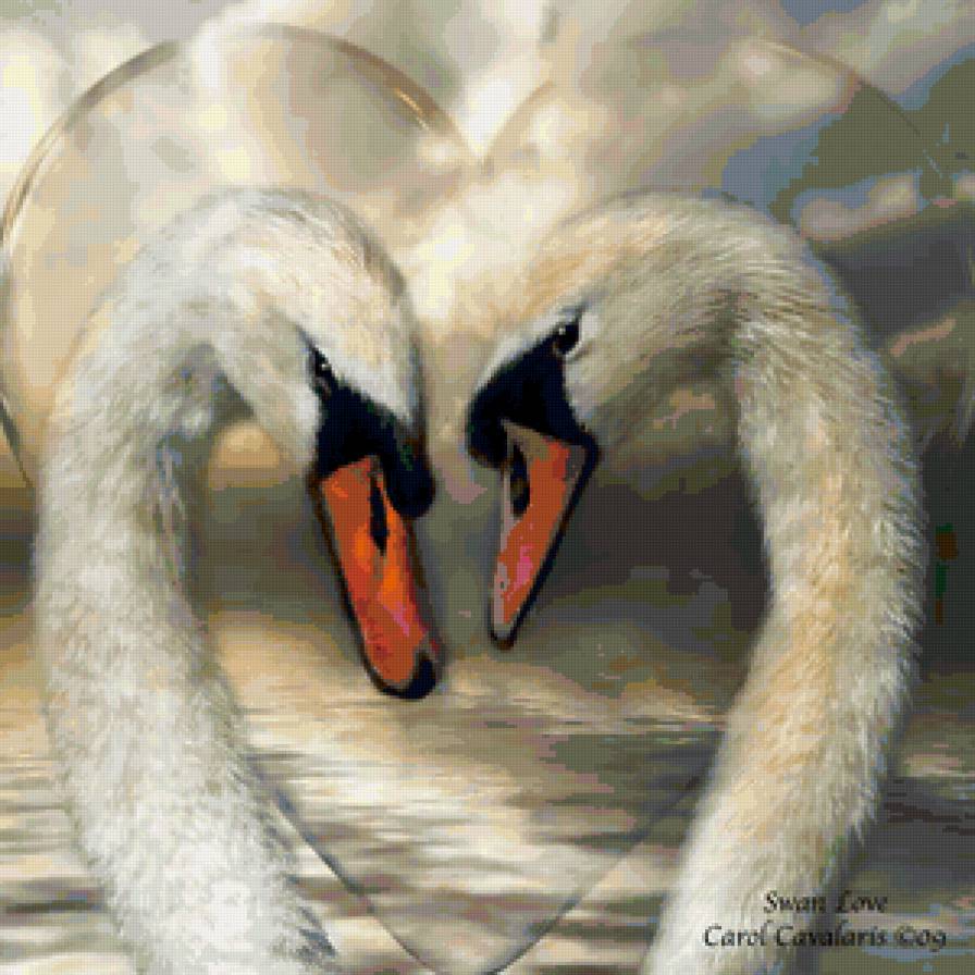swan love - предпросмотр