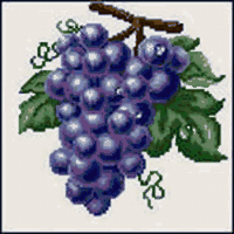 виноград - для кухни, виноград, грохдь - предпросмотр