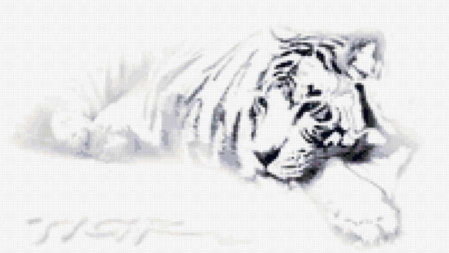 Тигр - предпросмотр