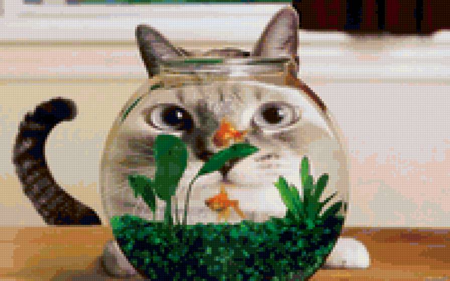 Кот и золотая рыбка - аквариум, кот, рыбка - предпросмотр
