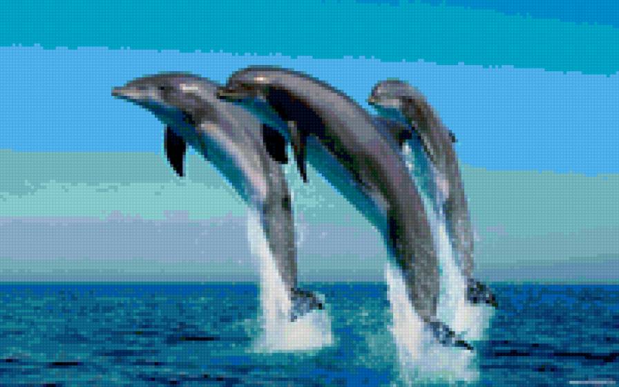 Дельфины - пейзаж, море, дельфины - предпросмотр